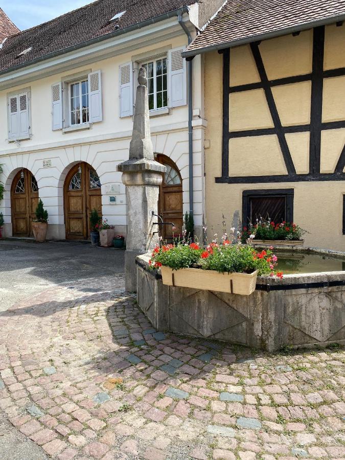 Апартаменты La Maison Des Fontaines D'Alsace Ferrette Экстерьер фото