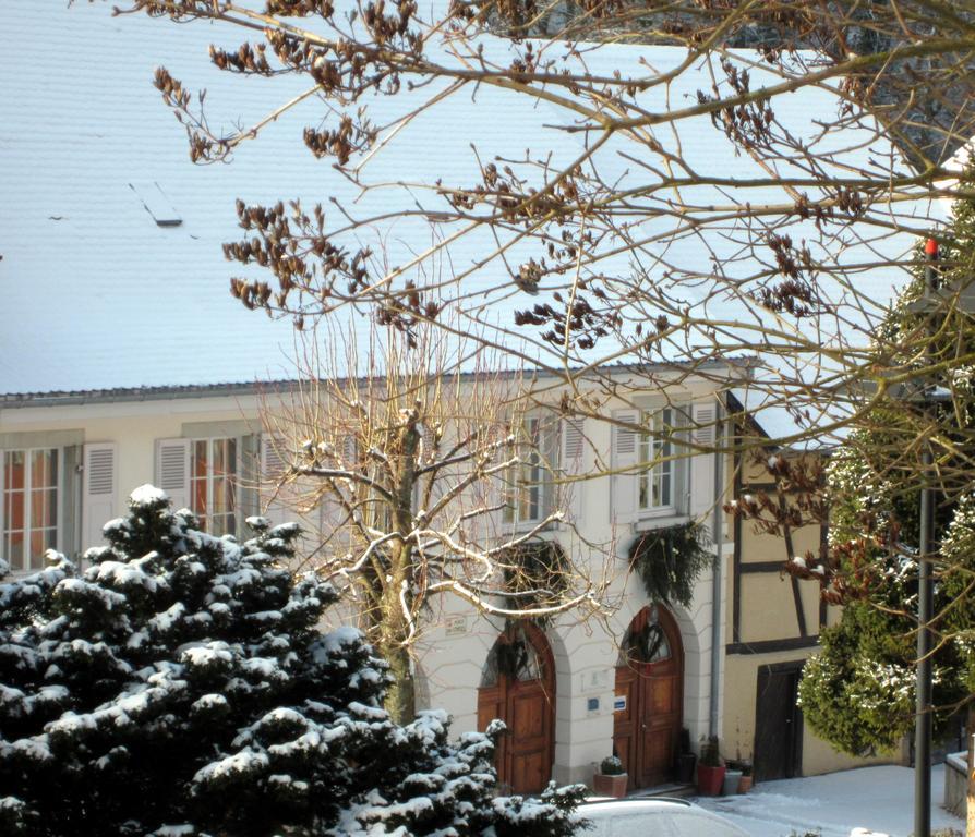 La Maison Des Fontaines D'Alsace Ferrette Номер фото
