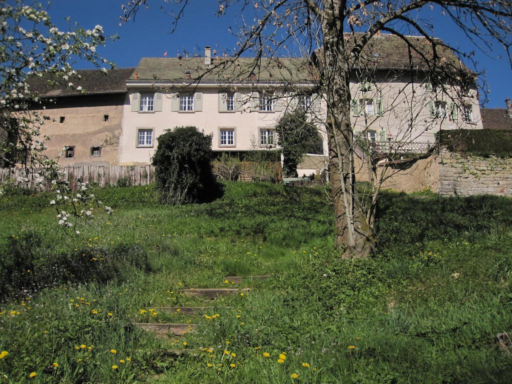 Апартаменты La Maison Des Fontaines D'Alsace Ferrette Номер фото