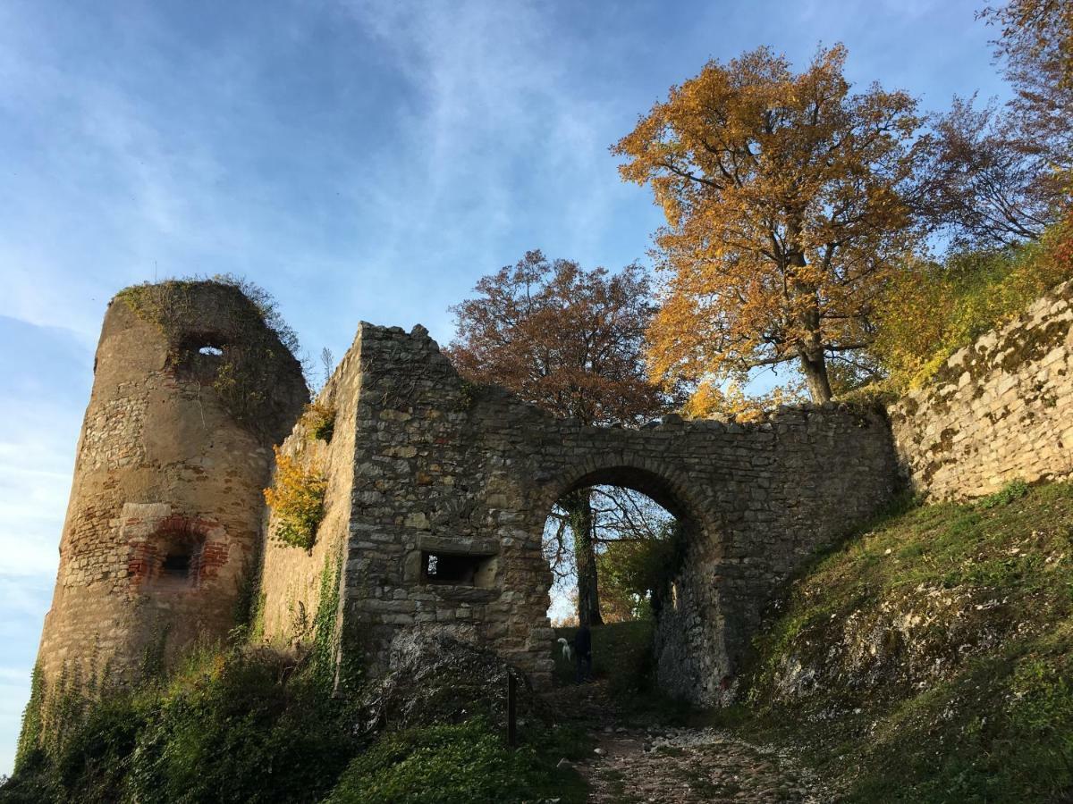 Апартаменты La Maison Des Fontaines D'Alsace Ferrette Экстерьер фото