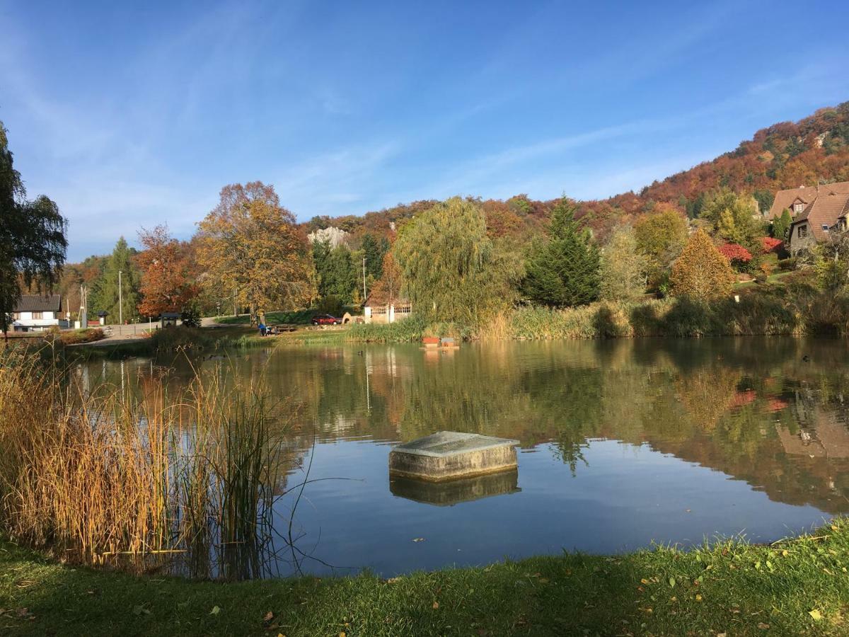 Апартаменты La Maison Des Fontaines D'Alsace Ferrette Экстерьер фото